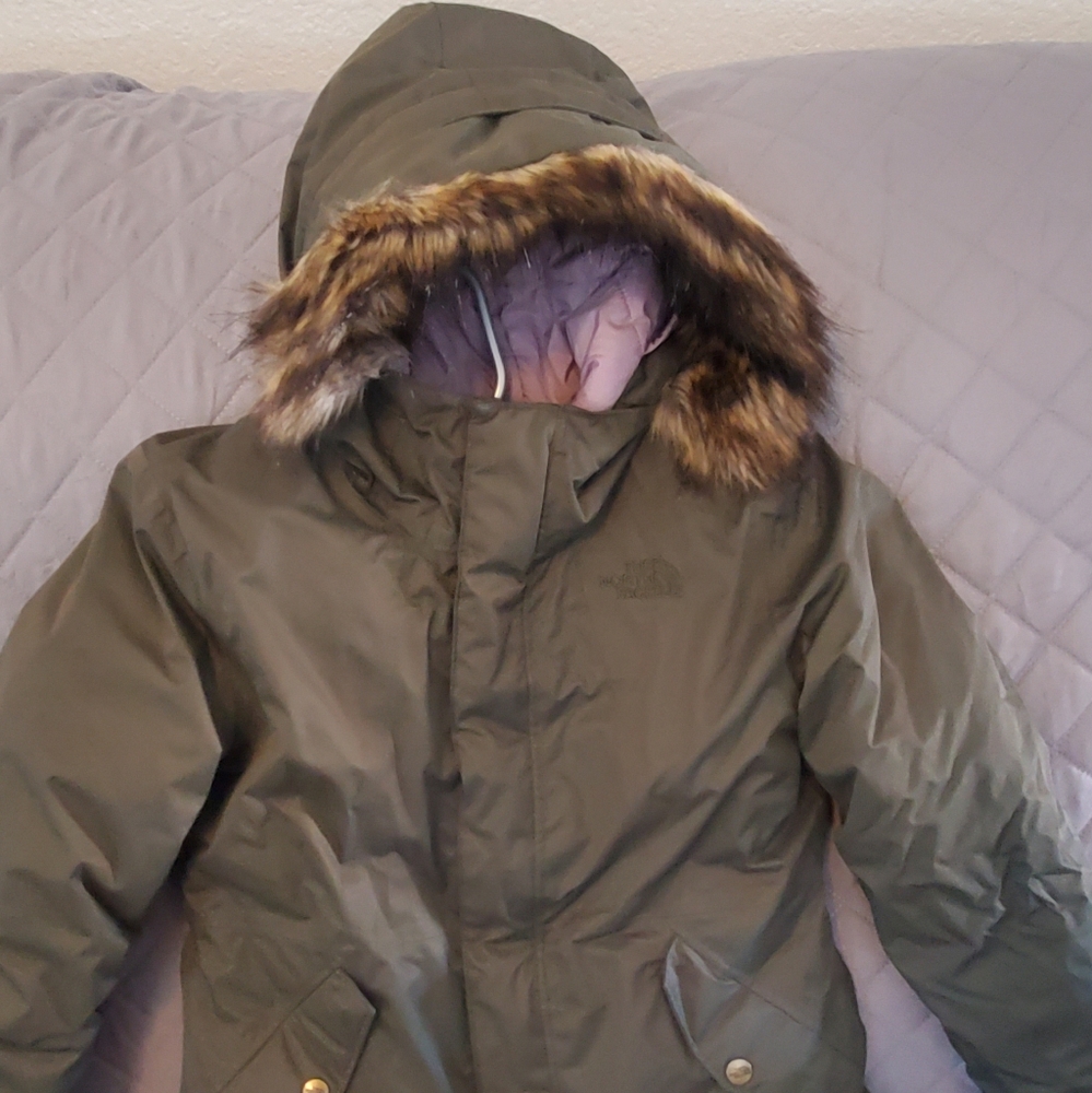 The northface Greenland Waterproof 550 Down Jacket